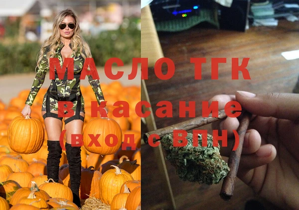 молекула духа Михайлов