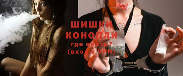 молекула духа Михайлов