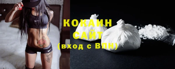 молекула духа Михайлов