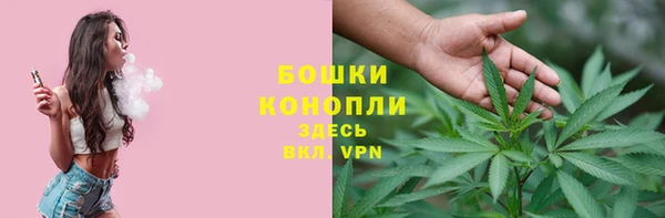 твердый Весьегонск