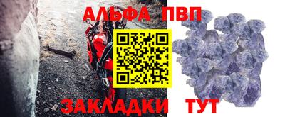 шишки Гай
