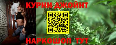 шишки Гай