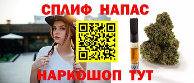 шишки Гай