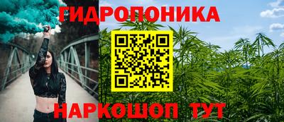 jwh Гатчина